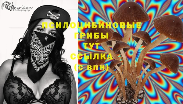 COCAINE Вяземский