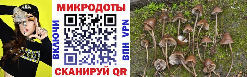 Псилоцибиновые грибы GOLDEN TEACHER  Новошахтинск 